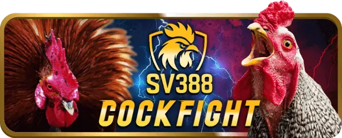 Các chương trình khuyến mãi hấp dẫn tại Betvisa Win